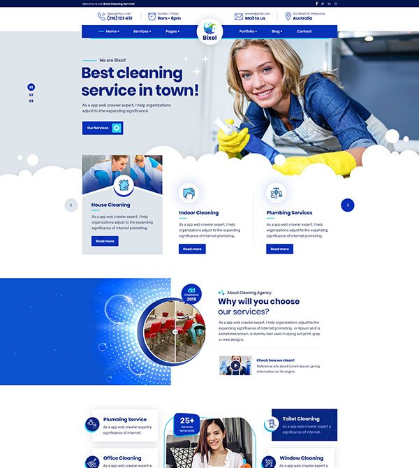 Homepage of a professional cleaning company’s website.