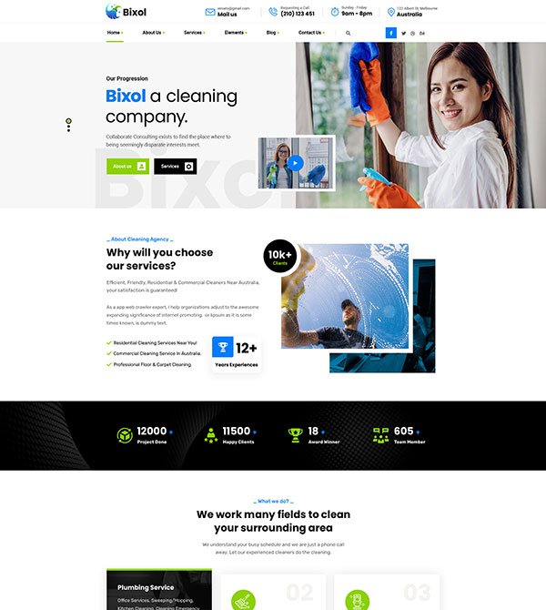 Website design layout showing cleaning company homepage.